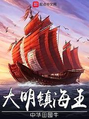 大明镇海王无弹窗