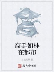 无懈可击之高手如林免费