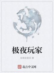 极夜玩家的玩家是什么