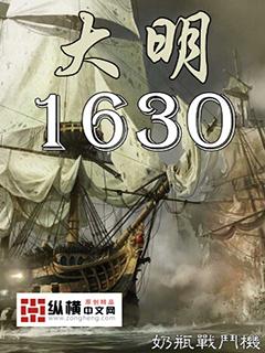 大明1630奶瓶战斗机