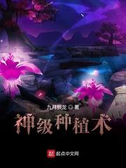 华夏神菊种植