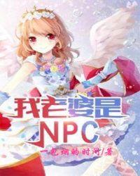 我老婆是NPC全文在线阅读