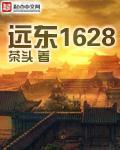 远东1628精校txt