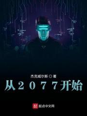 2077开局属性