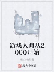 游戏人间从2000开始 txt