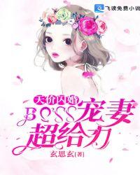 天价闪婚boss宠妻超给力txt