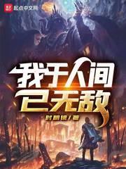 我于人间已无敌精校版