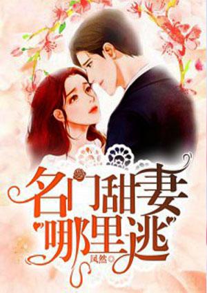 名门甜妻哪里逃epub