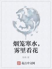 烟笼寒水月笼沙是什么歌