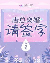 唐老板离婚请签字第二部