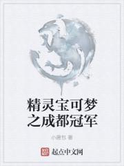 精灵宝可梦成都地区地图