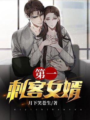 第一刺客女婿全