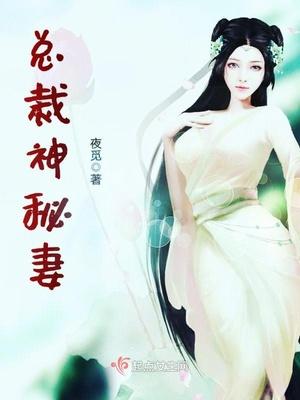 盛世二婚总裁的神秘妻