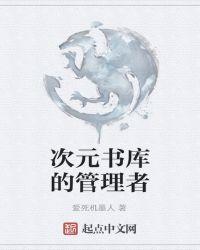 我的世界次元管理者之刃