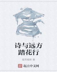 诗与远方形容什么