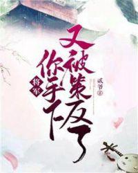 将军你被休了全文免费君初月