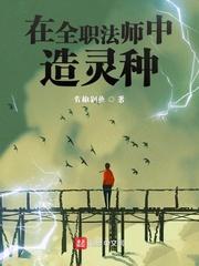 在全职法师中造灵种 免费