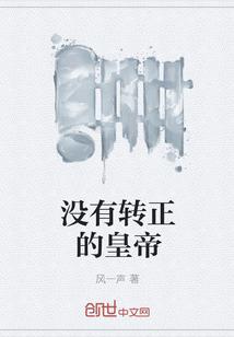 没有转正叫什么