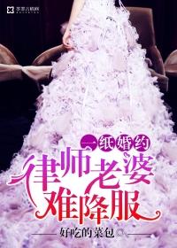 4.一婚到底律师老公难说服作者意沫沫