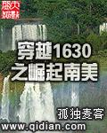 穿越1630之崛起南美公众号