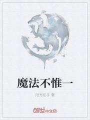 魔法不惟一讲的是什么