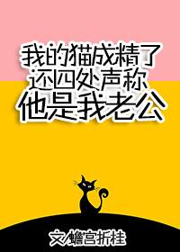 我家猫咪成了精楠书