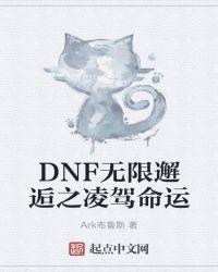 dnf命运的抉择扫把外观