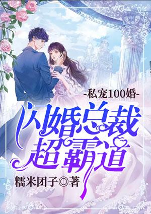 私宠100婚闪婚总裁超霸道txt