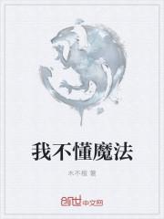 我是个麻瓜我不懂魔法