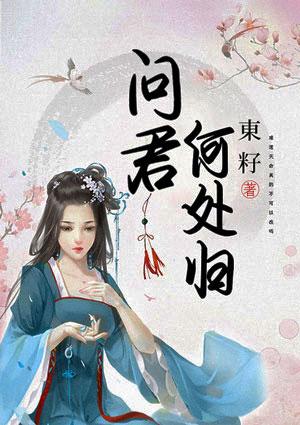 问君何日是归期的意思