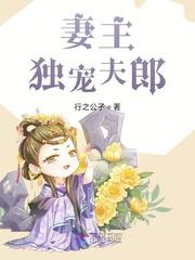 夜王的宠夫(女尊)