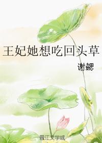 王妃不吃回头草