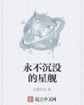 永不沉没的星舰无错版