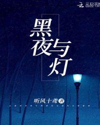 黑夜与灯光的关系