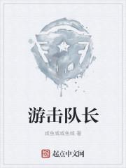 游击队长叫什么