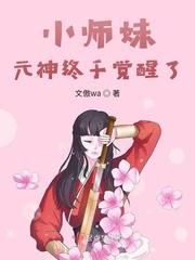 小师妹技能功力