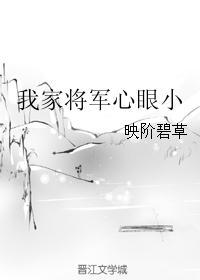 我家将军有点撩免费阅读