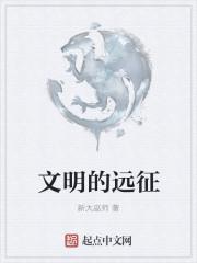 文明远征破解版