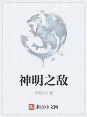 我与神明为敌