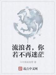 流浪之人未必迷惘