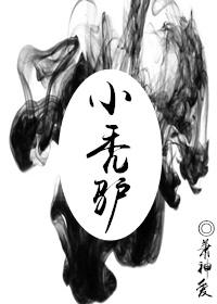 小秃驴打一个数字