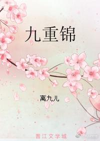 九重锦无防盗