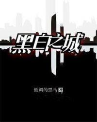 黑白之城苏丹著文学作品集