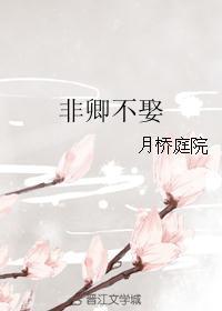 非卿不娶之寂雨倾颜