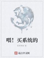 网上怎么买系统