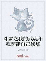 斗罗之我的武魂和魂环会自动修炼