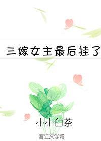 三嫁女主最后挂了 小小白茶