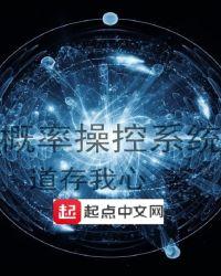 概率操控系统宇宙观测者