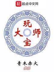 玩宝大师txt