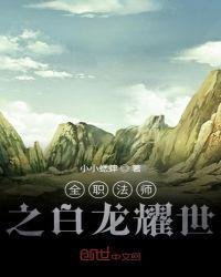 全职法师之白龙耀世零点